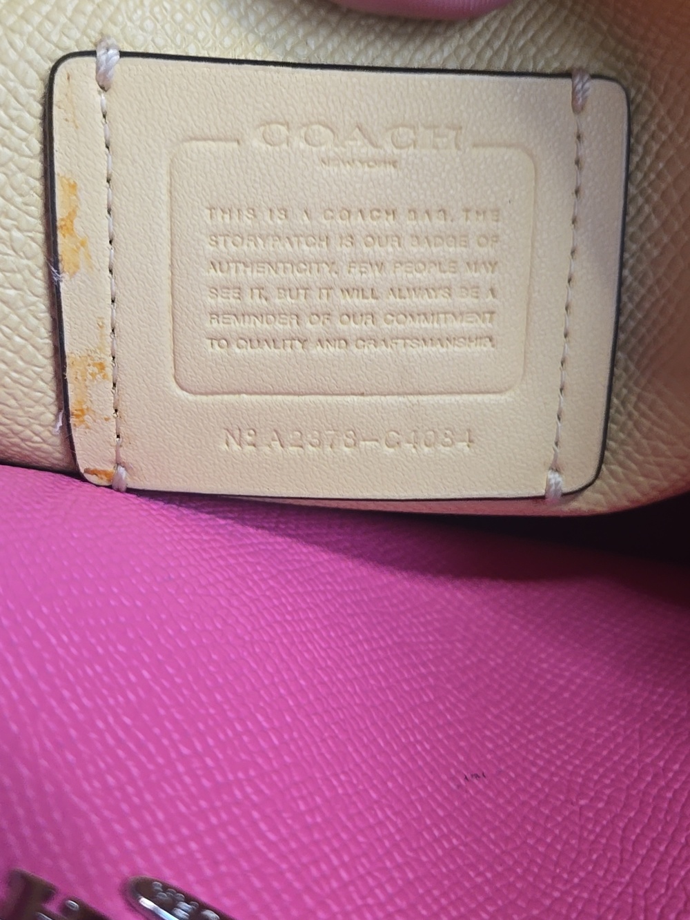 Coach Mollie Tote 25 with Matching Wallet Pale Pistachio Set Crossbody Strap - Picture 11 of 16